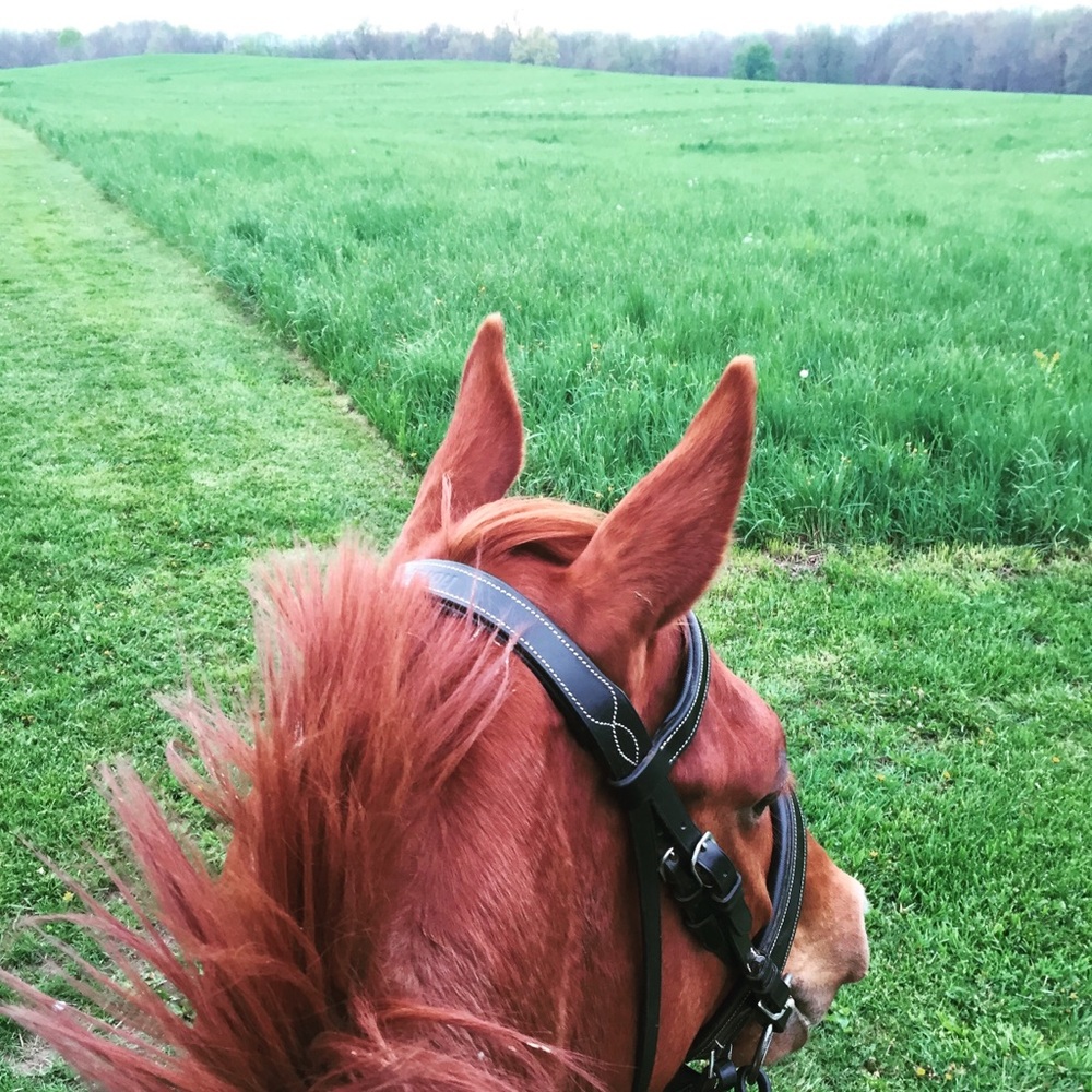 Meet your Posher, Kristina